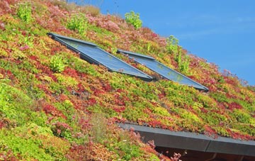 Haregate living roof systems